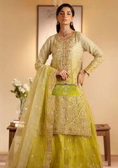 Formals - Dressline - Sania Rangeeli 25 - ZS#0033