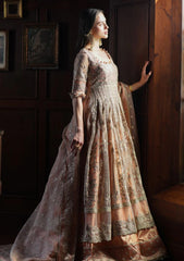 Formals - Inayat - Festive 25 - HAZE