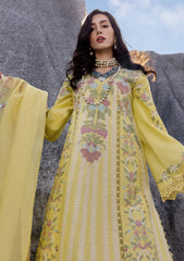 Lawn - Saira Shakira - Unstitched Festive 25 - DILARA-B