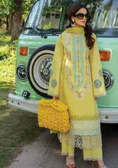 Lawn Collection - Rang Rasiya - Carnation Festive Edit - RC24#07 - AYLA