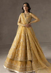 Formals - Imran Ramzan - Éblouir - EB#01 - Paraiso D’or