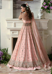 Formals - Akbar Aslam - Deewani 25 - ADF#1570 - Sanoura