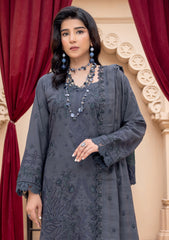 Winter - Riaz Arts - Zauq 25 - D#02