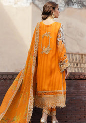 Formal Collection - Charizma - Vasl Chiffon 24 - CHV24#14