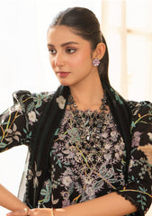 Lawn - Humdum - Senora - HSL25#02