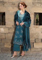 Winter - Rang Rasiya - Carnation 25 - Luxury Shawl Edit - CWD#01 - Mint