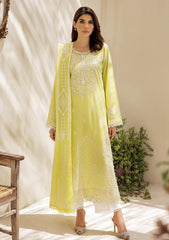 Lawn - Rajbari - Nissa Chikankari Edition S/S 25 - D#02