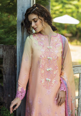 Lawn - Mushq - Solace Ombre Chikankari - MC25#04 - Risate
