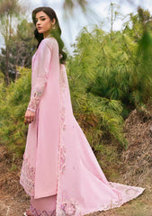 Lawn - Qalamkar - Qlinekari 25 - DC#02 - Freja