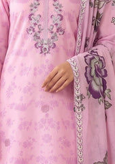 Winter - Humdum - Laiba 26 - D#05
