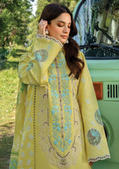 Lawn Collection - Rang Rasiya - Carnation Festive Edit - RC24#07 - AYLA