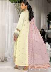 Lawn Collection - Humdum - Charlotte - CCL24#06