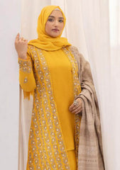 Winter Collection - Riaz Arts - DastKari23 - D#07