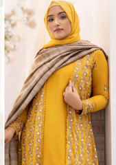 Winter Collection - Riaz Arts - DastKari23 - D#07