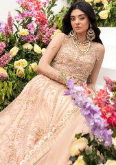 Formal Collection - Zaha - Gossamer - Autumn - ZC23#04