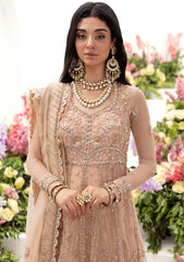 Formal Collection - Zaha - Gossamer - Autumn - ZC23#04