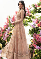 Formal Collection - Zaha - Gossamer - Autumn - ZC23#04