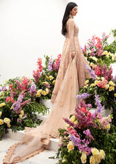 Formal Collection - Zaha - Gossamer - Autumn - ZC23#04