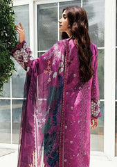 Winter - Florent - Zync 25 - FL#03-A