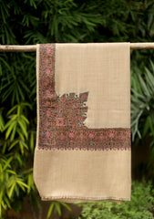 Pashmina Emb Palu Border Shawl D - 02 - Brown