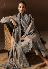 Winter - Raj Bari - Sareen 25 - Premium Viscose - D#03