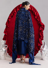 Winter - Parishay - Velvet Palachi Shawl 26 - CHE#16