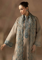 Winter - Raj Bari - Sareen 25 - Premium Viscose - D#03
