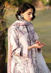 Lawn - Alizeh - Sheen Prints 25 - AF-PL-6036 - Rafaello