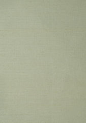 Elite Men Raw Silk Fabric - Cream