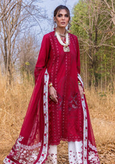 Lawn - Saira Shakira - Unstitched Festive 25 - SHAMS-A