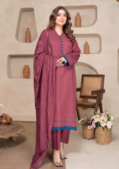 Winter - Bin Rashid - Aaina - Zari Wool 25 - BZW#04