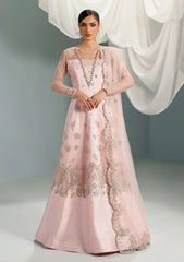 Formals - Alizeh - Handmade Net - Festive 25 - AF-NHM#4061 - Garnet