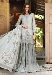 Lawn - Noor by Saadia Asad - Eid Luxe - Printedkari 25 - D#2-A