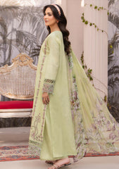 Lawn - Humdum - Summer Breeze 26 - D#04