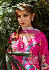 Lawn - Asifa & Nabeel - Yakin - Roseveil - (YKL25-10)