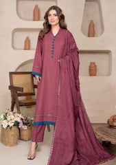 Winter - Bin Rashid - Aaina - Zari Wool 25 - BZW#04