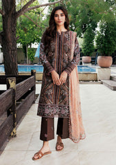 Winter - Florent - Zync 25 - FL#02-B