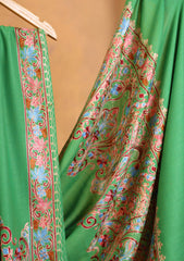 Pashmina Ari Work Border Shawl D#05 - Parrot