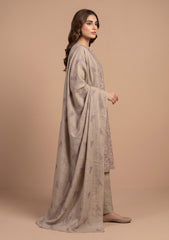 Winter - Rubaaiyat - Pashmina Embroidered 26 - D#10 - Skin