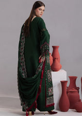 Winter - Parishay - Velvet Palachi Shawl 26 - CHE#14