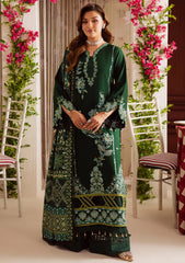 Winter - Mahnur - Nova Khaddar - NK25#03