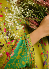 Winter - Sahar - Elara - Printed Fall - 2 Pcs - AW1-25-22 - Botanic Charm