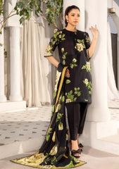 Lawn - M.Basics - Elaheh 25 - Vol 1 - MB-ELHV1-07