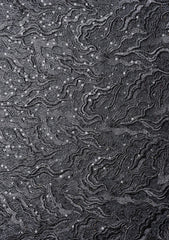 Shuttle Lace With Sequence Work - FCE#402