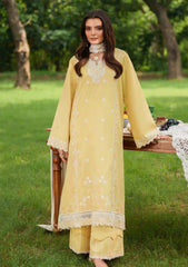 Winter - Asifa & Nabeel - Eden Cambric 25 - ECU#10 - Golden Dust