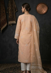 Formals - Riwaj - Fancy 26 - Ari & Mukesh Work - 2 Pcs - D#01 - Peach 1