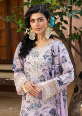 Winter - Humdum - Zaiba - Karandi 25 - D#06