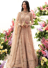 Formal Collection - Zaha - Gossamer - Autumn - ZC23#04