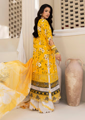Lawn - Rubaaiyat - Signature 26 - INAYA