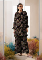 Winter Collection - Basanti - Imwaaj - Classic Linen 24 - 2 Pcs - D#19 - Black